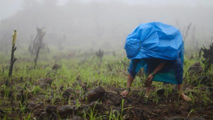 Buldhana News : पावसाची संथ गती, टंचाईची तीव्रता कायम! पेरण्यांची गतीही चांगली मंदावली