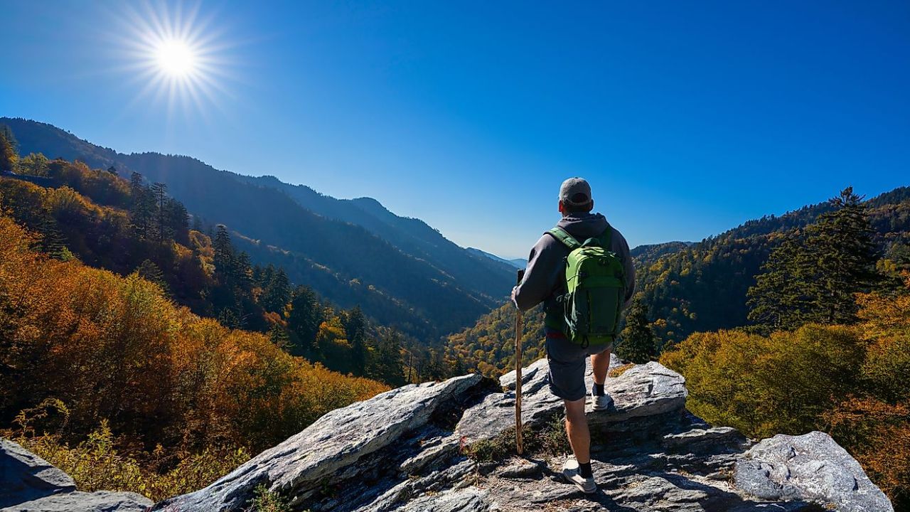 Travelling Benefits: तणाव कमी करायचाय? मग घराबाहेर पडा; फिरण्यामुळे सुधारते मानसिक आरोग्य