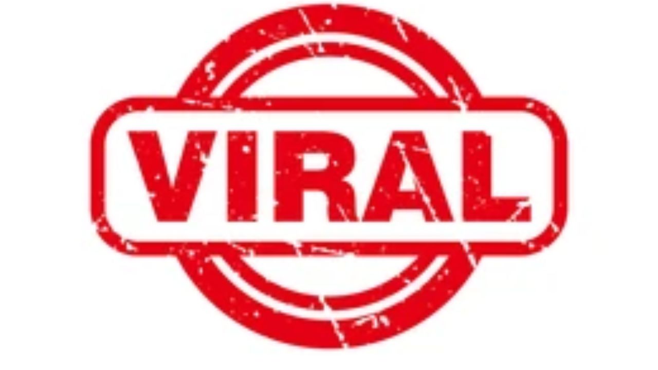 China Cafe Viral Video: चीनमधील लहान मुले क्वांटम फिजिक्स आणि AI पुस्तके वाचतात; कॅफेमधील व्हायरल व्हिडिओमागील सत्य एकदा वाचाच….