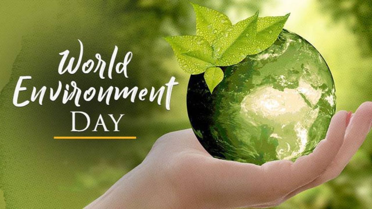 World Environment Day: विट्टी इंटरनॅशनल स्कूलच्या ७०० विद्यार्थ्यांनी पर्यावरण रक्षणाचा नवा आदर्श कसा रचला?