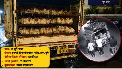Pune Crime: पुण्यात अजब चोरी! कोंबड्यांनाही नाही सुरक्षा; टेम्पोतून 800 जिवंत कोंबड्या लंपास