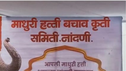 Kolhapur Madhuri Elephant : लाडक्या ‘माधुरी’ हत्तीणीला आणण्यासाठी कोल्हापुरात ग्रामस्थ आक्रमक!