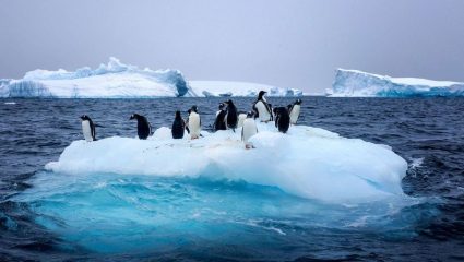 Global Warming: वेगाने वितळतोय अंटार्क्टिकातील बर्फ; जागतिक आपत्ती टाळण्यासाठी जगाकडे उरले फक्त 30 ते 50 वर्षे