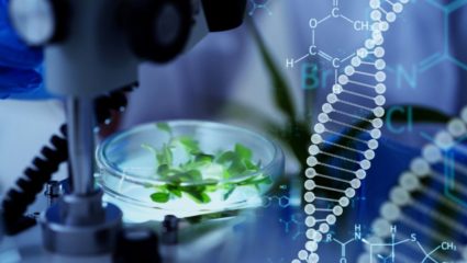 Engineering Biology: भारत सरकारची मोठी घोषणा! देशात पहिल्यांदाच सुरू होणार ‘इंजिनिअरिंग बायोलॉजी’ कोर्स; असे असेल त्याचे स्वरूप!