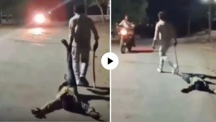 भंयकर! बाईक लुटण्यासाठी रस्त्यावर मर्डरचा थरार; मृतदेहाला ओढत नेलं अन्…, VIDEO व्हायरल होताच नेटकऱ्यांचा संताप 