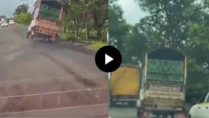 Kalyan Murbad Pickup Viral Video: माळशेज घाटात थरार! मद्यधुंद पिकअप चालकाचा धिंगाणा… अखेर असा झाला शेवट