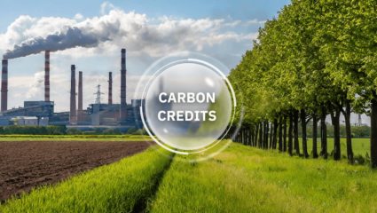 Carbon Credit: हवा विकून जगभरातील देश आणि कंपन्या कशा कमावतायत अब्जावधी रुपये? जाणून घ्या एका क्लिकवर..
