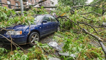 Car Insurance Tips: मुसळधार पावसात झाड पडून कारचे नुकसान झाल्यास अशा पद्धतीने करा विम्यासाठी दावा