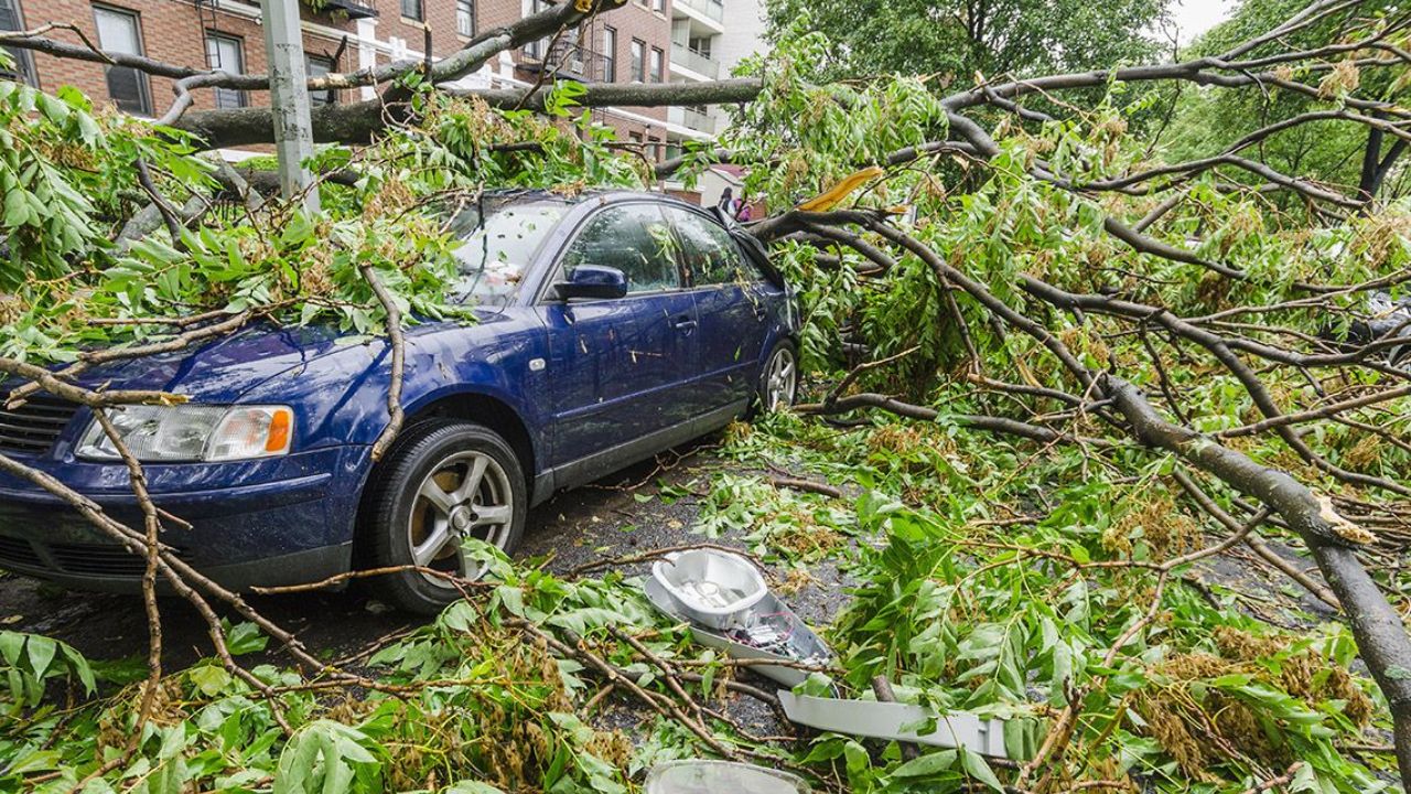 Car Insurance Tips: मुसळधार पावसात झाड पडून कारचे नुकसान झाल्यास अशा पद्धतीने करा विम्यासाठी दावा