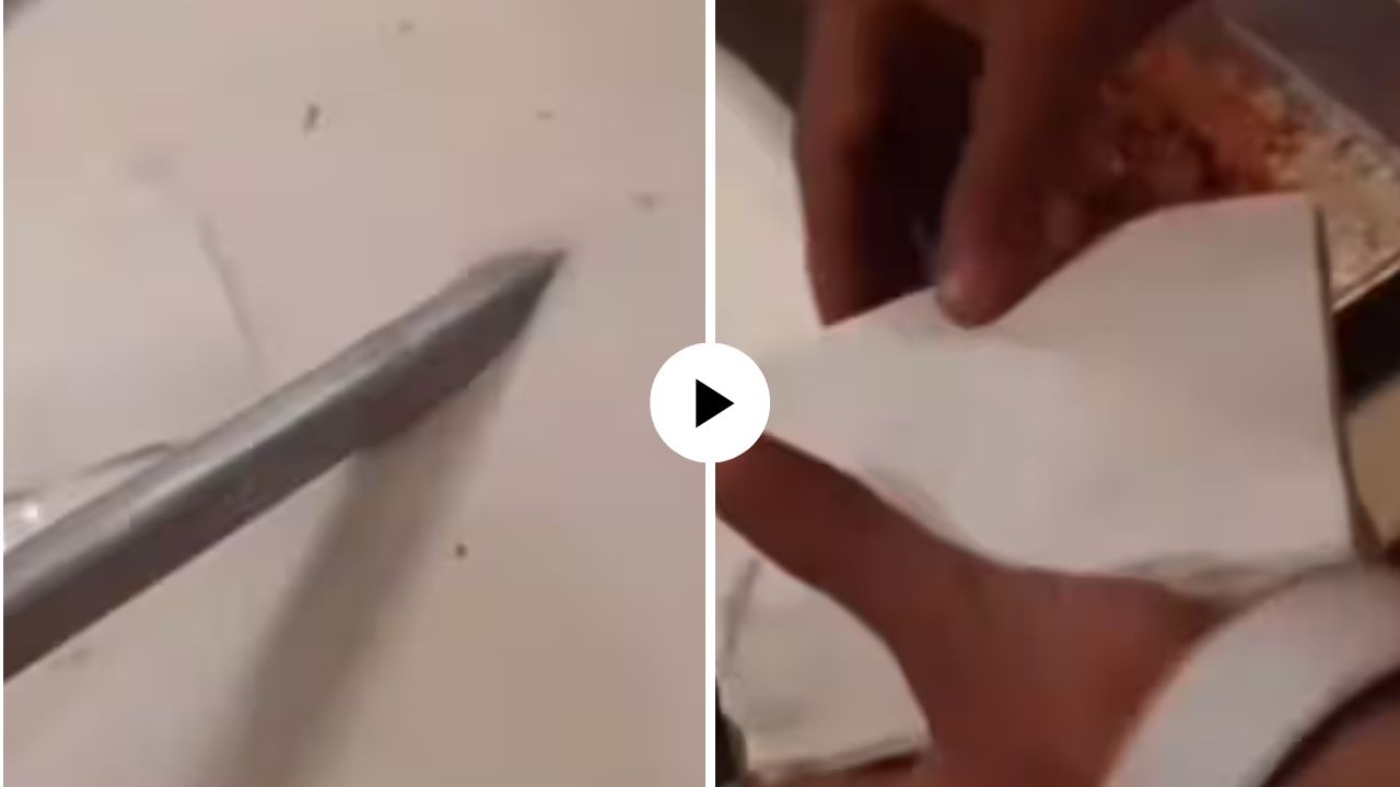 सावधान! मलाई समजून विष तर खात नाही ना? ‘हा’ VIDEO पाहून पायाखालची जमीनच सरकेल