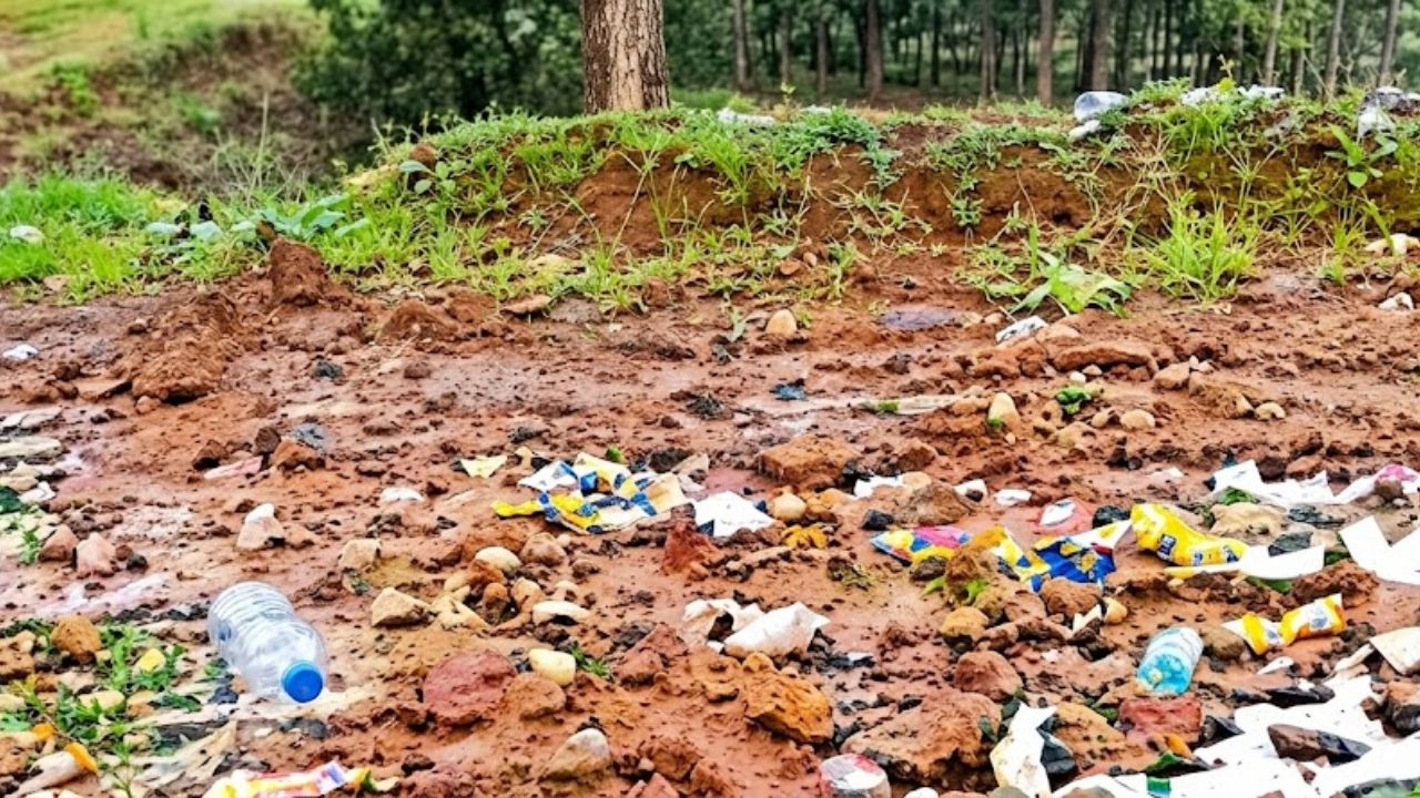 Raigad News: लोणेरेतील शेतात गटाराचे सांडपाणी; पिकांचे नुकसान, संतप्त शेतकऱ्यांचा उपोषणाचा इशारा