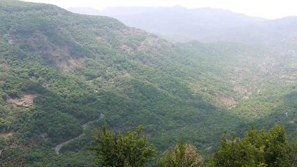 आंबेनळी घाट पुढील चार दिवस वाहतुकीसाठी बंद; रायगड जिल्हाधिकाऱ्यांचे आदेश