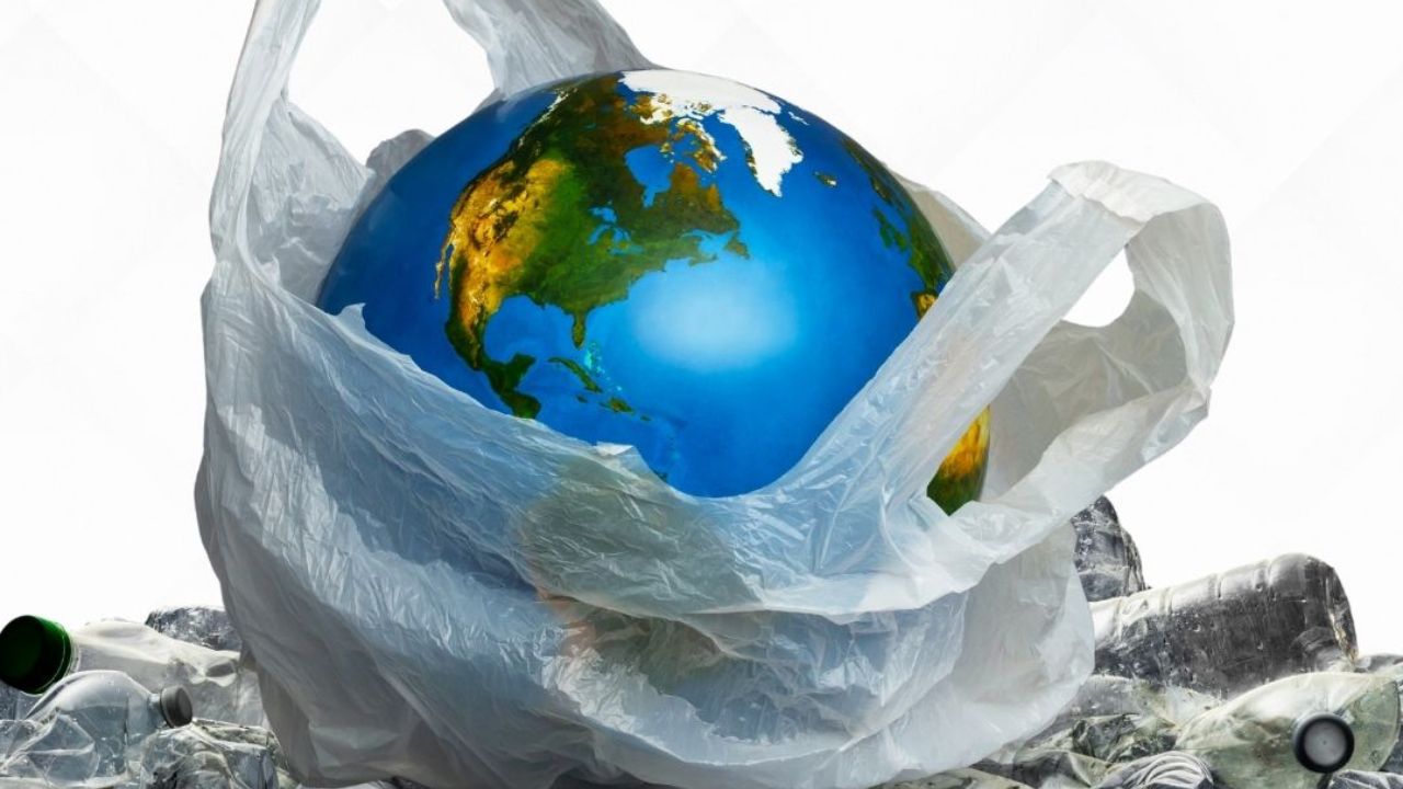 Plastic Bag Free Day: प्लास्टिकच्या छुप्या विळख्यातून वसुंधरेला वाचवण्याचा संकल्प; जाणून घ्या ‘या’ खास दिवसाचे महत्त्व आणि इतिहास