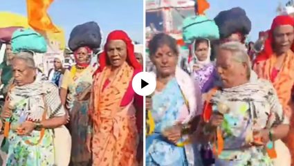 Jejuri Warkari Accident : विठुरायाच्या दर्शनापूर्वीच मोठा अनर्थ! वारकऱ्यांना ट्रकने चिरडल्याचा थरारक VIDEO समोर