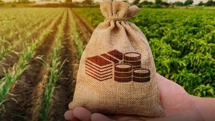 Maharashtra Farmer Loan Waiver : शेतकऱ्यांच्या पदरी पुन्हा निराशा! कर्जमाफी योजनेला ब्रेक; पुढील आठवड्यात अंमलबजावणीची शक्यता