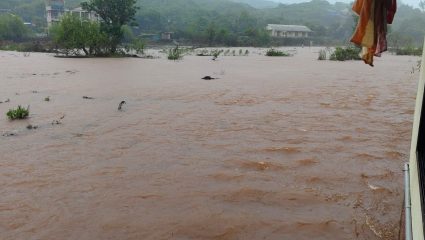 Mahabaleshwar Monsoon Update:महाबळेश्वर-पाचगणी रस्त्यावर तीव्र वाहतूक कोंडी, स्ट्रॉबेरी शेती पाण्याखाली