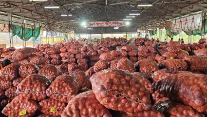 Onion Market News:आळेफाटा बाजारात कांद्याच्या दरात किंचित सुधारणा; शेतकऱ्यांना काहीसा दिलासा