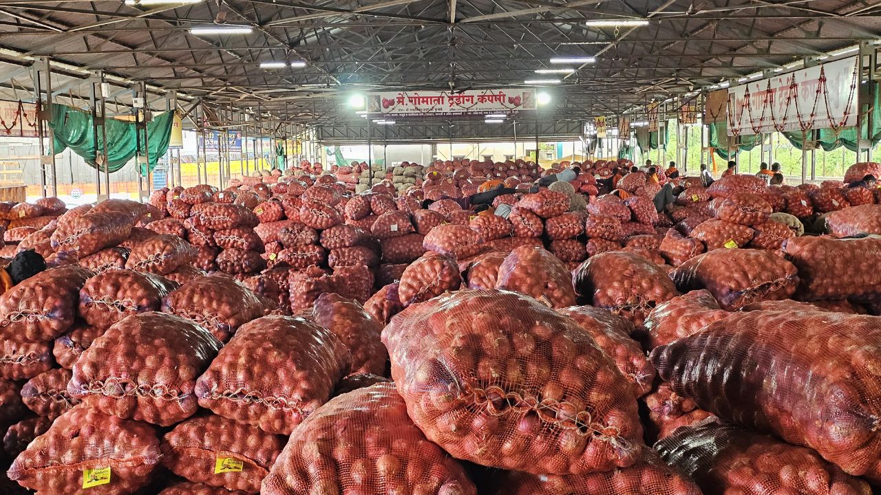 Onion Market News:आळेफाटा बाजारात कांद्याच्या दरात किंचित सुधारणा; शेतकऱ्यांना काहीसा दिलासा