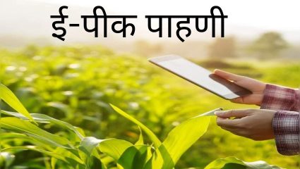 E-Pik Pahani National Level: महाराष्ट्राच्या ‘ई-पीक पाहणी’ मॉडेलची देशात अंमलबजावणी! १ ऑगस्टपासून ‘ॲग्री स्टॅग’शी जोडणी