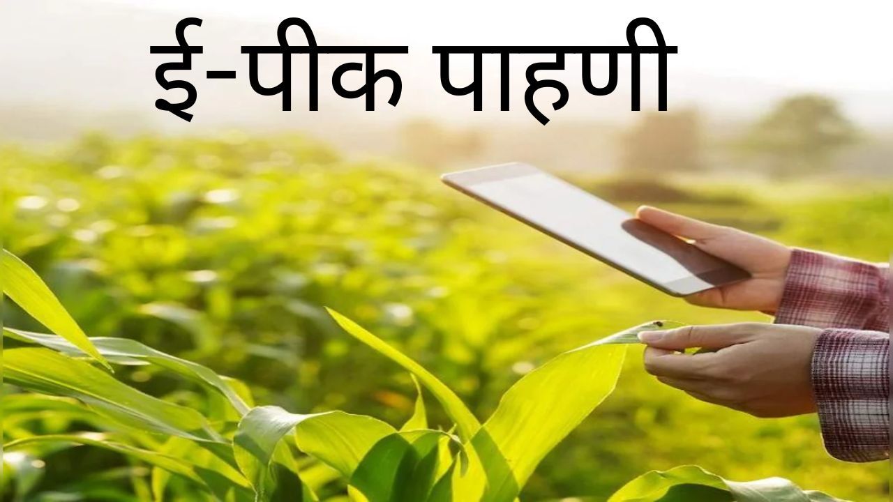 E-Pik Pahani National Level: महाराष्ट्राच्या ‘ई-पीक पाहणी’ मॉडेलची देशात अंमलबजावणी! १ ऑगस्टपासून ‘ॲग्री स्टॅग’शी जोडणी