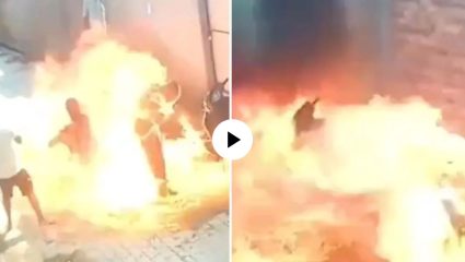 क्रूरतेची सीमा ओलांडली! बायकोसोबतचा वाद मिटवण्यासाठी सासरवाडीला गेला; पण मेहुण्याने अंगावर पेट्रोल ओतलं अन्…, थरारक Video Viral