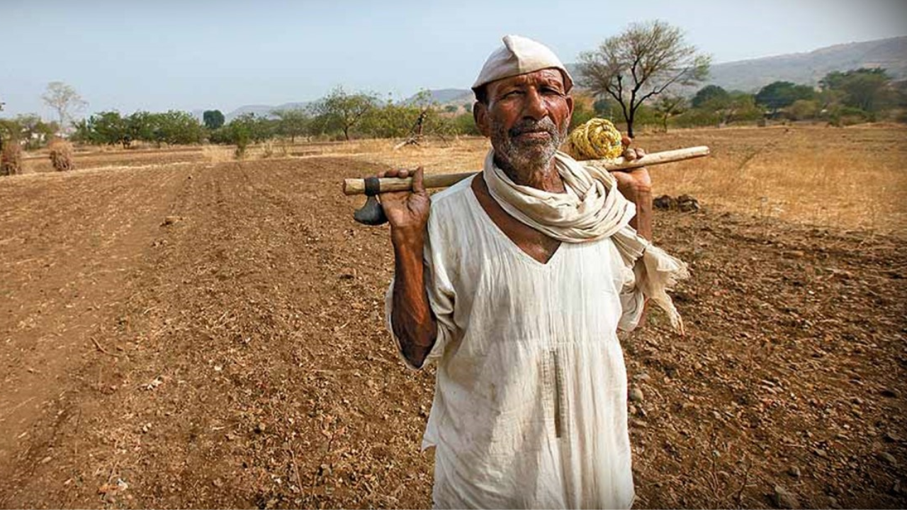 Farmer Loan Waiver: कर्जमाफीसाठी तुम्ही पात्र आहात? नेमकी कशी होणार प्रक्रिया? कोणते निकष बदलला? सविस्तर जाणून घ्या