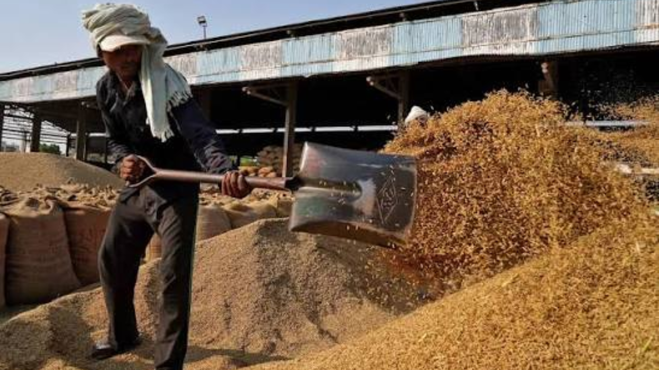 1160 कोटींचा Ethanol घोटाळा; मध्य प्रदेशात कुपोषित मुलांचा 50 लाख क्विंटल तांदूळ गायब, नेमकं काय प्रकरण?