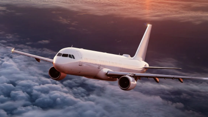 Air Suvidha 2.0 च्या नावाखाली ऑनलाईन घोटाळा! बनावट वेबसाईटवरुन पैशांची मागणी; सरकारने दिला इशारा