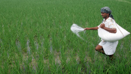 Agriculture News: शेतकऱ्यांसाठी महत्त्वाची बातमी! युरियाची टंचाई आता कायमची संपणार! ‘या’ नवीन खताला मिळाली मंजुरी