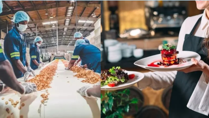 भन्नाट बिझनेस प्लॅन पण इथं अडलंय? Food Processing  बिझनेस आणि Restaurants सुरु करण्यासाठी असं करा रजिस्ट्रेशन