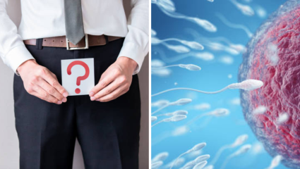 Men Sperm: पुरुषांसाठी Sperm Count की क्वालिटी? काय जास्त गरजेचे, तज्ज्ञांनी केले स्पष्ट