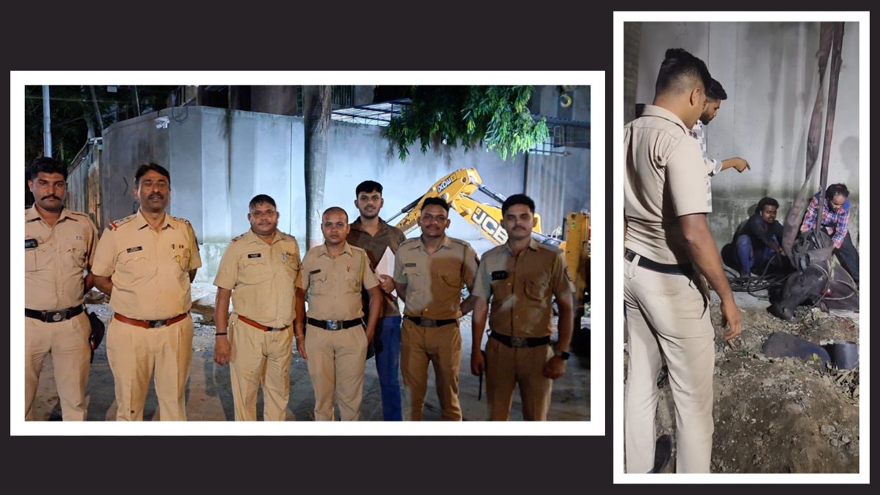 Mira Bhayandar News : कोट्यवधींच्या निविदा, तरी उघडी चेंबर्स कायम! म्हशीच्या घटनेनंतर मिरा-भाईंदर मनपा पुन्हा वादात