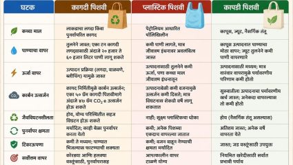 World Paper Bag Day Special: कागदी पिशवी खरोखरच पर्यावरणपूरक आहे का?
