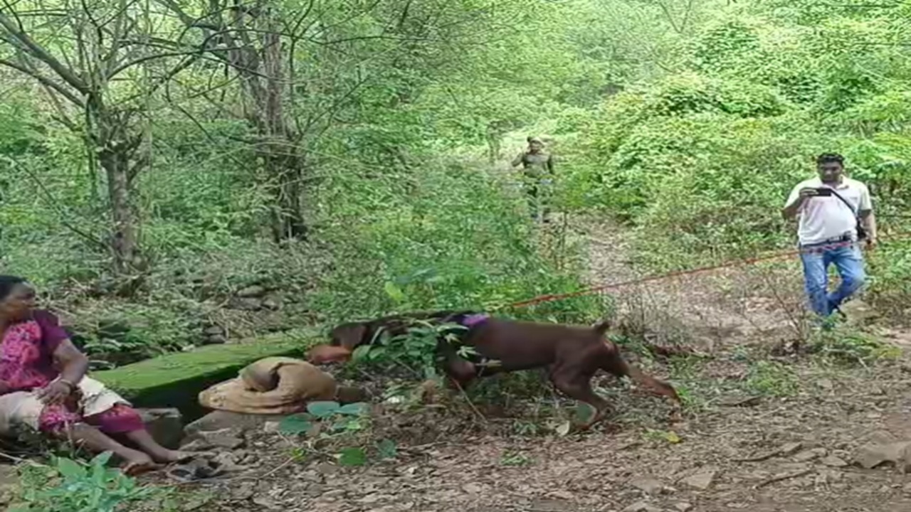 Raigad Crime : रायगड हादरला! 5 वर्षीय चिमुकलीचे अपहरण करून निर्घृण हत्या, आरोपी पोलिसांच्या ताब्यात