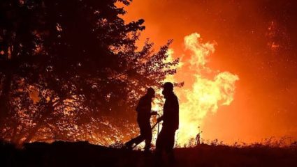Portugal Wildfire : पोर्तुगाल आगीच्या विळख्यात! ३०,००० हेक्टर जंगल क्षेत्र खाक; सरकारकडून देशात आणीबाणी जाहीर