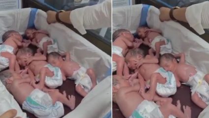 Quintuplets Birth: क्वेटा येथील रुग्णालयात अद्भुत चमत्कार! एकाच वेळी जन्मली 5 बाळे; वैद्यकीय क्षेत्रात कौतुकाचा वर्षाव, VIDEO