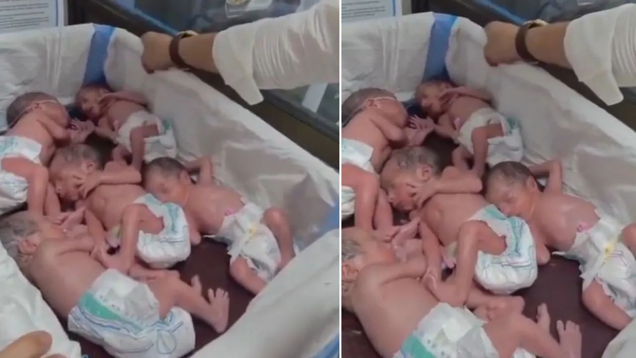 Quintuplets Birth: क्वेटा येथील रुग्णालयात अद्भुत चमत्कार! एकाच वेळी जन्मली 5 बाळे; वैद्यकीय क्षेत्रात कौतुकाचा वर्षाव, VIDEO
