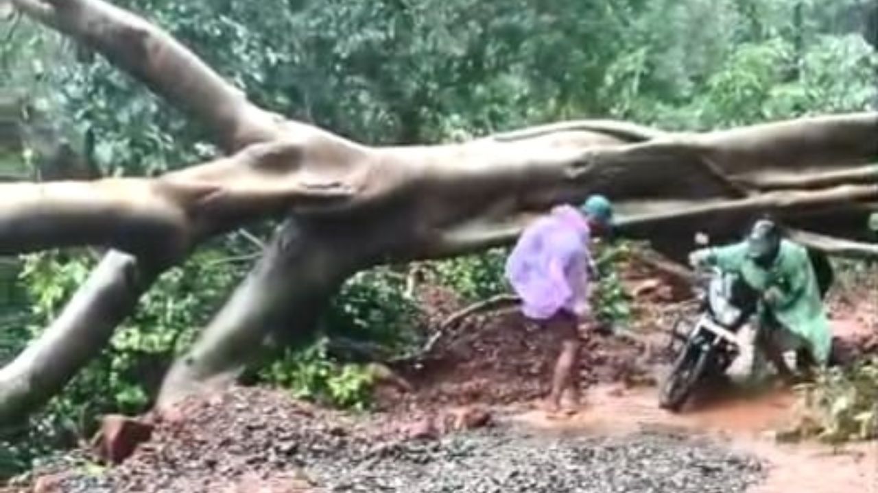 Satara Heavy Rain : १६ गावांचा संपर्क तुटला, दरडी, पूल खचले,नेटवर्क बंद…; साताऱ्यात मुसळधार पावसाचा कहर