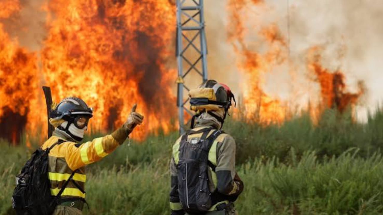 Spain Wildfire : स्पेनमध्ये जंगल वणव्याचा हाहा:कार! आगीत होरपळून १२ जणांचा मृत्यू; अनेक लोक बेपत्ता 