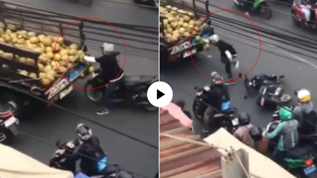 इज्जतीचा भाजीपाला! धावत्या गाडीतून नारळ चोरी करायला गेला अन् स्वत:चीच फिजती करुन बसला; पहा काय घडलं? Video Viral