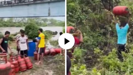 बाप रे! महाभंयकर पुरात वाहून आले हजारो सिलेंडर; फुकटच्या टाक्या पळवण्यासाठी लोकांनी काय केलं पाहा, VIDEO VIRAL