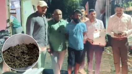 Ulhasnagar Crime News: गांजा विक्रीवर पोलिसांचा आणखी एक घाव; ४२५ ग्रॅम गांजासह आरोपी अटकेत
