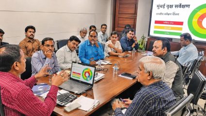 मुंबईत वृक्षांचे होणार शास्त्रीय सर्वेक्षण! धोकादायक झाडांची होणार स्वतंत्र नोंद; विविध श्रेणींमध्ये केले जाणार वर्गीकरण