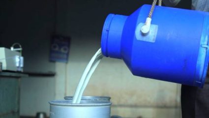 Yavatmal News: दररोज होते ३६ हजार लिटर दुधाचे उत्पादन! सात टक्क्याने आवक घटली; खाजगी दूध विक्रेत्यांची संख्या मोठी