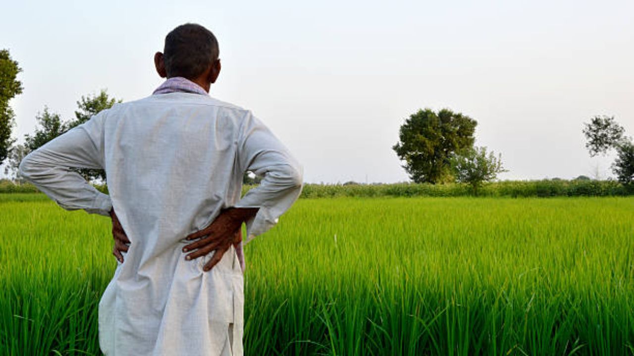 अल निनोच्या सावटात पीक नियोजन बदला! कृषी विभागाचा शेतकऱ्यांना सल्ला; पावसाचा खंड पडण्याची शक्यता