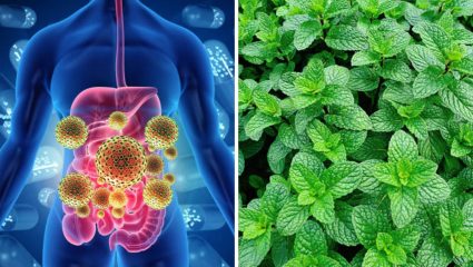 Bloating Home Remedy:वारंवार अपचन-पोट फुगण्याच्या त्रासाने वैतागला आहात? मग ताज्या पुदिन्याच्या पानांचे ‘या’ पद्धतीने करा सेवन