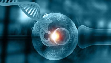 World IVF Day: दैनंदिन सवयी प्रजननक्षमतेवर कसा परिणाम करतात? पालकत्वाचे स्वप्न साकारण्यासाठी जीवनशैलीत करा बदल