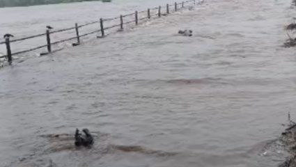 Karjat Rains Alert: कर्जतमध्ये पावसाचा हाहाकार! २४ तासांत २९१ मिमी पावसाची नोंद, उल्हास नदीला पूर; तर ३० हून अधिक…