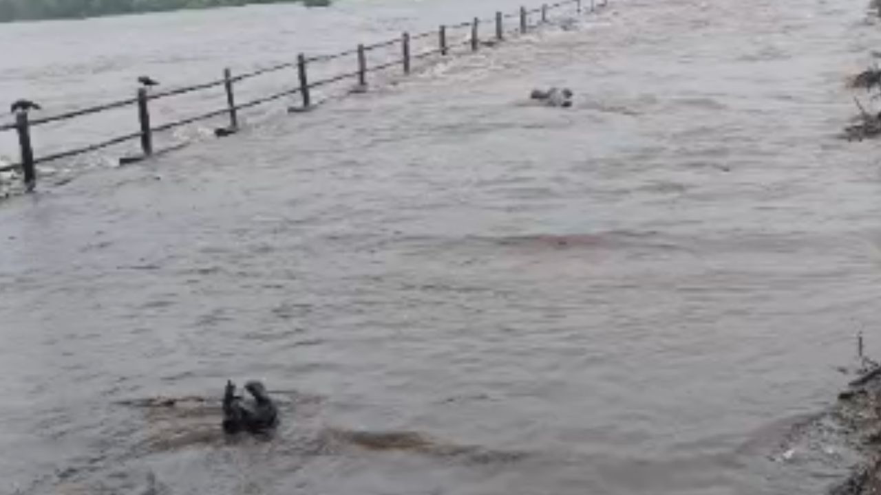 Karjat Rains Alert: कर्जतमध्ये पावसाचा हाहाकार! २४ तासांत २९१ मिमी पावसाची नोंद, उल्हास नदीला पूर; तर ३० हून अधिक…