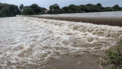 Satara Rain News: सातारा जिल्ह्यात पावसाचा धडाका कायम! कोयना धरणात ३५.७१ टीएमसी साठा, प्रशासन सतर्क